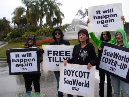 Activists protesting outside of Sea World for release of Tilikum.