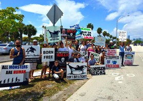 Activists protesting outside of Miami Seaquarium for the release of Lolita. 
